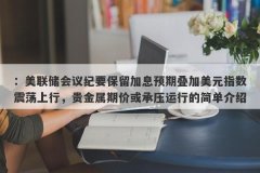 ：美联储会议纪要保留加息预期叠加美元指数震荡上行，贵金属期价或承压运行的简单介绍